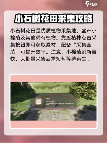 无限暖暖小棉菊采集攻略介绍截图3