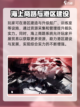 苍蓝避风港玩法介绍介绍截图3