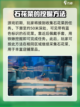 潜水员戴夫石花菜在哪介绍截图3