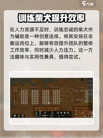 秩序新曙光任务攻略分享介绍截图3