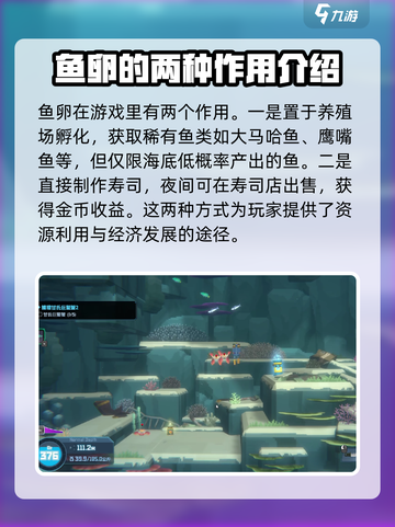 潜水员戴夫鱼卵怎么获得介绍截图4