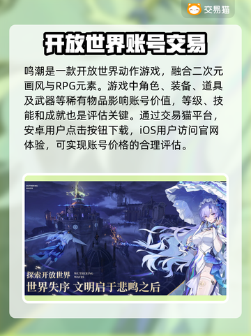 鸣潮账号价值评估渠道分享🔥游戏党必看！✨截图2