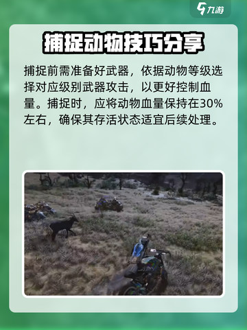 七日世界捕捉动物技巧大曝光！抓住它们⚡截图3