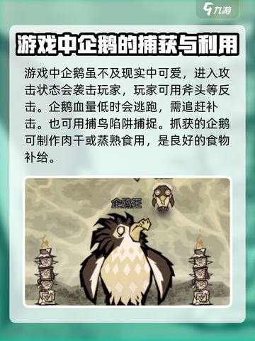 饥荒新家园企鹅岛在哪介绍截图3