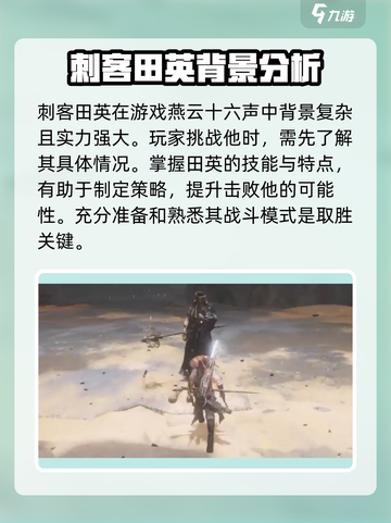 燕云十六声刺客田英怎么样介绍截图2