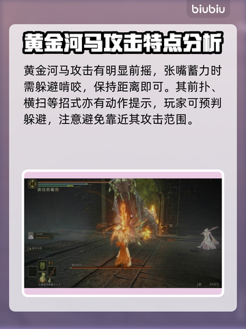 艾尔登法环：黄金河马打法💡一击致命！黑夜君临⚡截图4