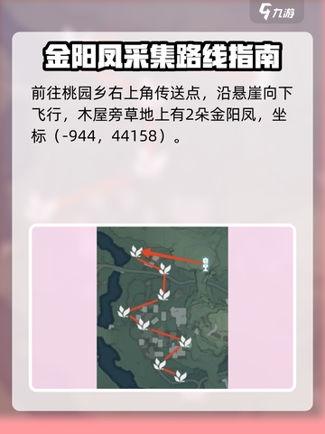 鸣潮金阳凤采集路线分享介绍截图3