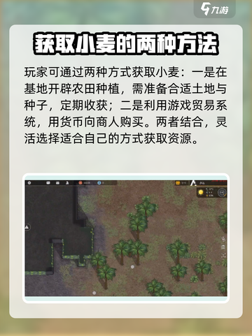 秩序新曙光💥：快速获取小麦方法🎉截图2
