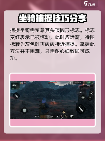 代号56怎样捉坐骑介绍截图5