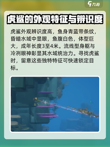 潜水员戴夫虎鲨在哪介绍截图3