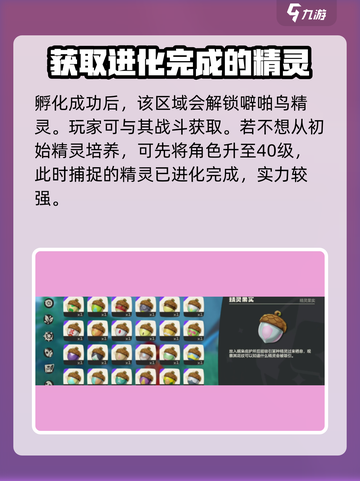 洛克王国世界噼啪鸟怎么获取介绍截图4