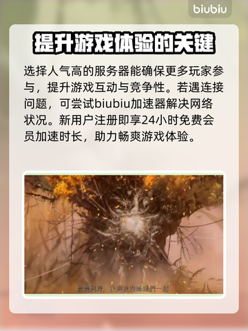 天堂W区服选择大揭秘🔥选对服轻松上手！截图3