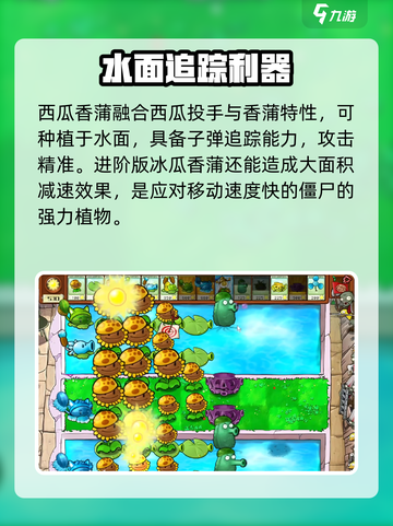 植物大战僵尸：西瓜香蒲🔥玩法大揭秘！🎉截图3