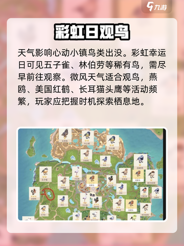 心动小镇观鸟解锁‼🐦速看截图2