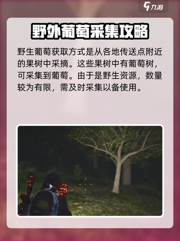 七日世界葡萄如何获取介绍截图3