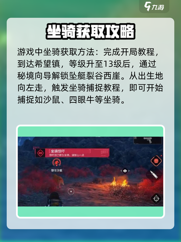 代号56坐骑捕捉全攻略🔥游戏党必看！截图2