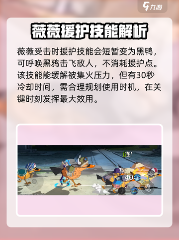航海王壮志雄心：薇薇玩法全揭秘💥截图5