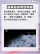 饥荒新家园青蛙王子怎么召唤介绍截图2