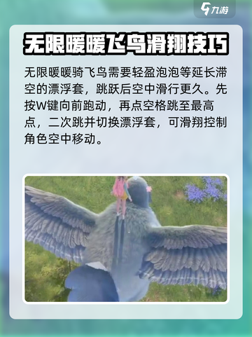 无限暖暖怎么骑飞鸟介绍截图2
