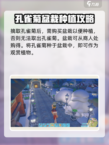 波西亚时光孔雀菊盆栽怎么获得介绍截图3