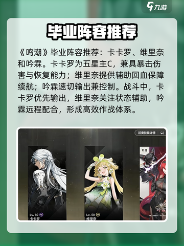 鸣潮吟霖怎么配队介绍截图3