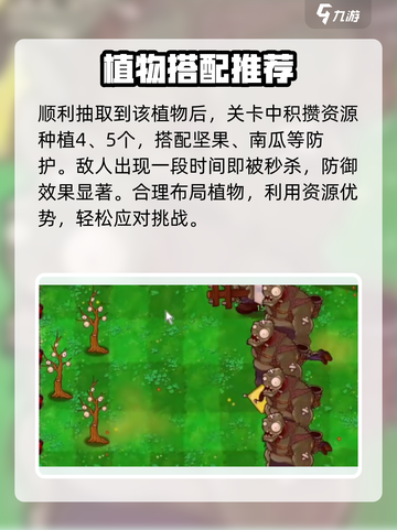 植物大战僵尸抽卡版🔥炼狱卡图鉴大公开！截图4