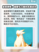 洛克王国世界战斗宠物怎么选介绍截图3