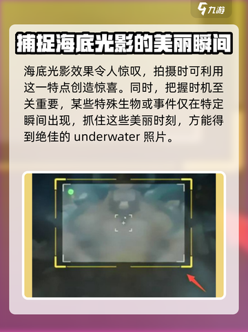 潜水员戴夫拍照怎么拍介绍截图4