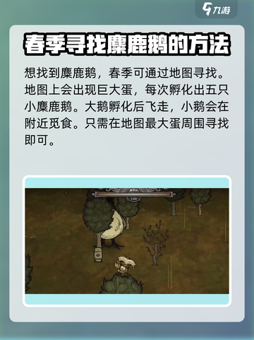 饥荒新家园💡麋鹿鹅驯服打法技巧大公开！截图4