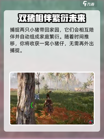 荒野起源养猪攻略介绍截图5