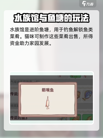 猫咪和汤水族馆💡：玩游戏名竟有这奇妙作用！截图2