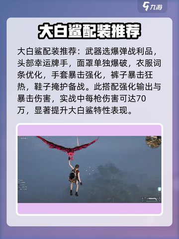 七日世界大白鲨配装推荐介绍截图4