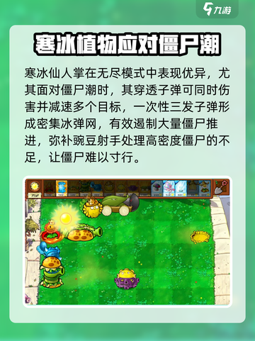 植物大战僵尸杂交版无尽模式🔥最强阵容搭配攻略来啦！截图4