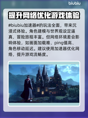 霍格沃茨之遗卡顿？一招解决流畅玩💎截图2