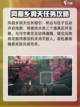 仙剑世界地灵洞天副本怎么完成介绍截图3