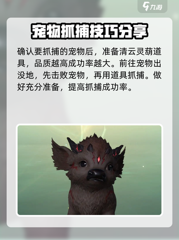 仙剑世界🔥珍稀宠物抓取秘籍ペット截图4