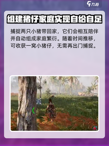荒野起源养猪秘籍🔥猪圈建造完全指南截图5