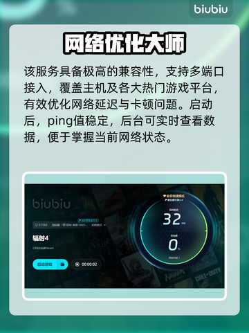 🎮辐射4闪退？用加速工具秒解决！截图6