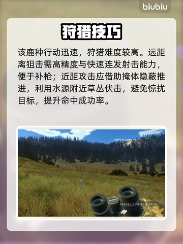 🎮《猎人之路》好莱坞通关秘籍！截图4