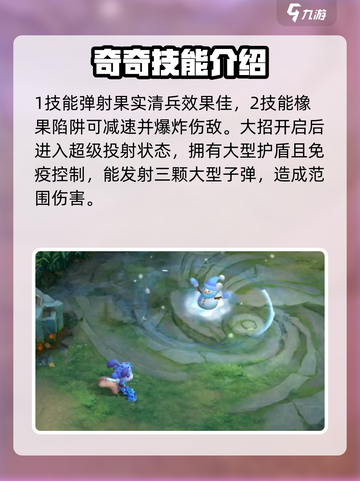 曙光英雄奇奇皮肤怎么获得介绍截图4