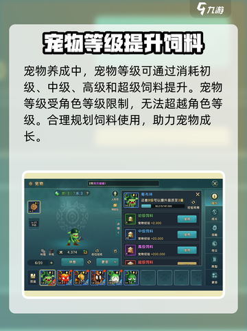 魔力宝贝复兴版🔥神宠养成秘籍！法宠C位出道✨截图3