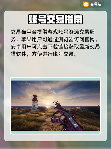  PUBG小白号哪里买？安全平台大曝光💥截图2