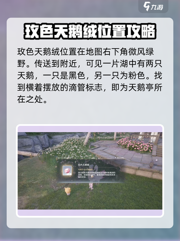 无限暖暖玫色天鹅绒怎么获取介绍截图2