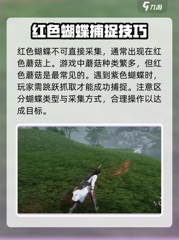 燕云十六声🔥抓蝴蝶全攻略🦋截图4