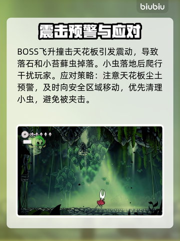 🎮空洞骑士丝之歌苔藓之母打法大揭秘！截图3
