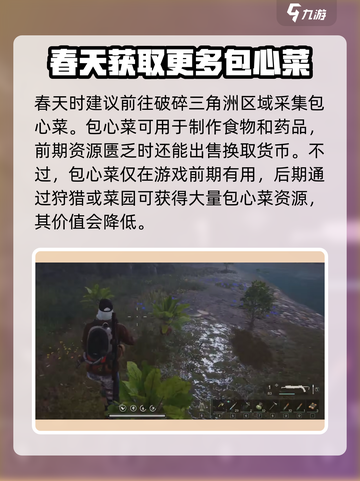 七日世界包心菜是什么介绍截图4