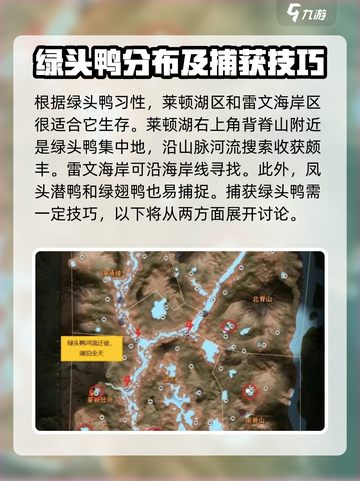 猎人之路🔥绿头鸭抓捕秘籍🎉截图3
