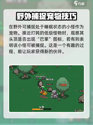 英勇之地🔥抓宠+召唤双重秘籍💎截图2