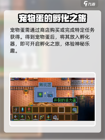 护核纪元孵蛋秘籍🔥蛋疼玩家必看！截图2