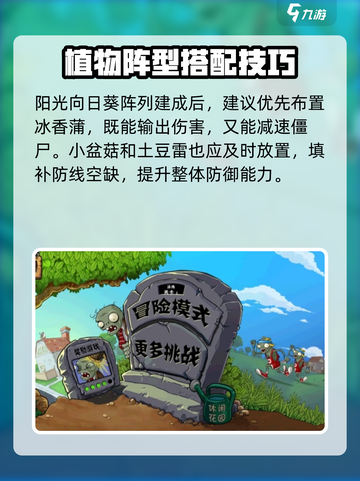 🎮植物大战僵尸杂交版第5关通关秘籍！💥截图3